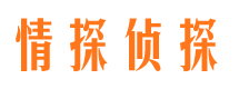 道真市侦探公司